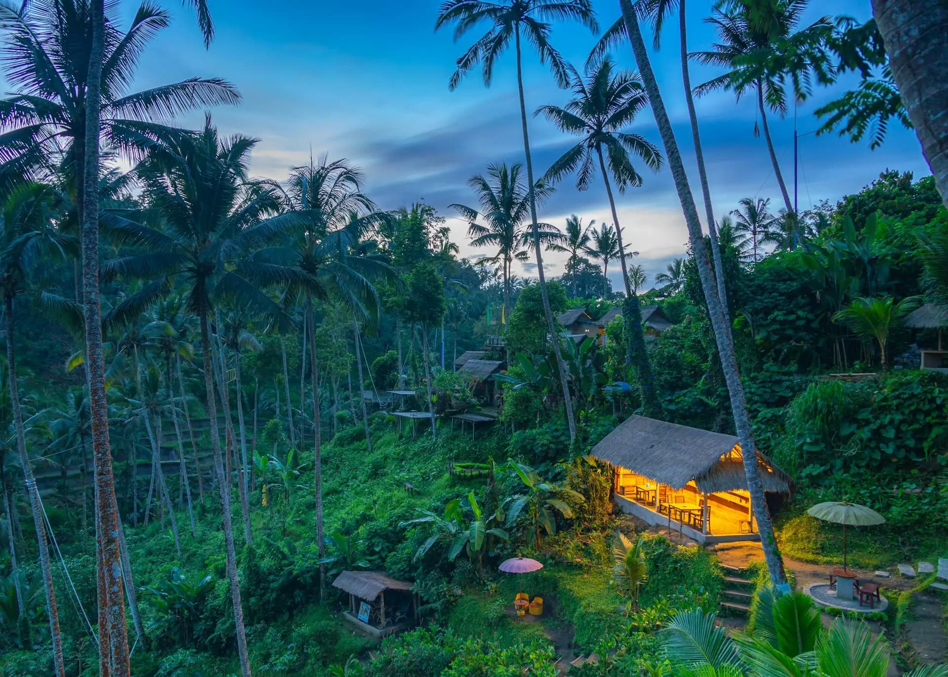 Lush tropical hillside at twilight with tall palm trees and a warmly lit thatched-roof hut.