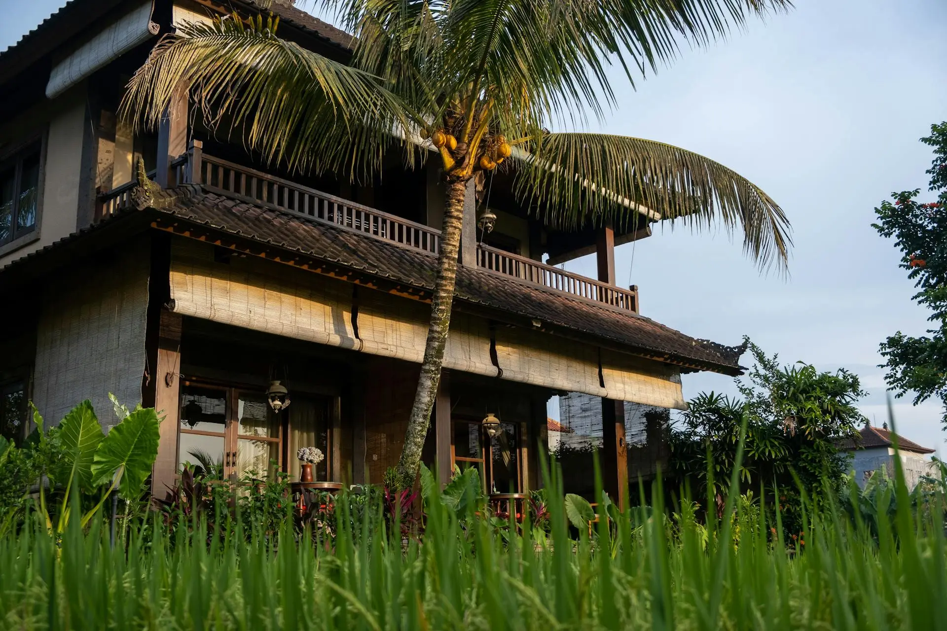 A luxury two-story tropical wooden villa behind a coconut palm tree in a lush green field during golden hour.